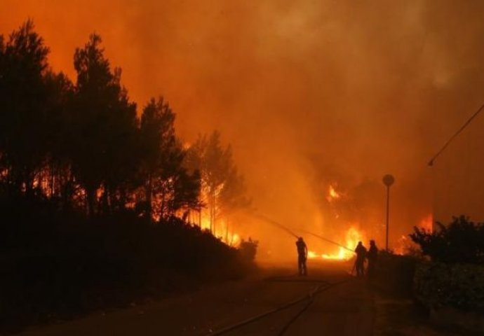STRAŠNA BORBA PROTIV POŽARA: Vatra progutala 2.000 hektara šume