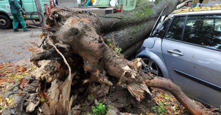 PORUŠENA STABLA: Pogledajte posljedice sinoćnjeg nevremena u Zadru