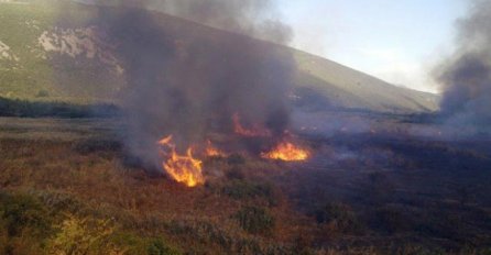 Ekološka katastrofa u Hercegovini: Hutovo blato pretvoreno u pustoš (VIDEO)