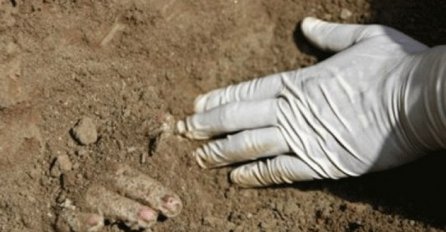 Kod Zavidovića ekshumirano devet posmrtnih ostataka 