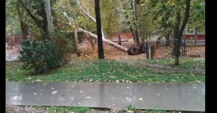 NEVRIJEME TUTNJI, IZDATO UPOZORENJE: Olujni vjetar čupa drveće iz korijena, kiša lije, ne može nos da se promoli napolje (FOTO) (VIDEO)