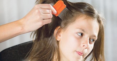 Vaške vrebaju školarce, roditelji se pozivaju na oprez