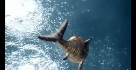 Pronađen morski monstrum star 150 miliona godina