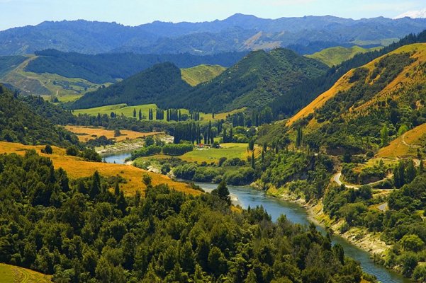 novi-zeland-whanganui-reka-4-830x0