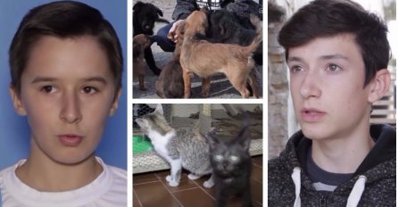 Dječaci napravili privatni "azil", udomljavaju pse i mačke