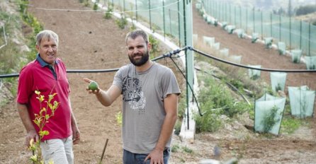 ONA ZNA KAKO DA SVOJIM POTOMCIMA OSIGURA BOGATSTVO I MIRNU BUDUĆNOST: Podižem plantažu koja bi mogla donositi čak milion eura godišnje!