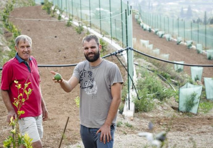 ONA ZNA KAKO DA SVOJIM POTOMCIMA OSIGURA BOGATSTVO I MIRNU BUDUĆNOST: Podižem plantažu koja bi mogla donositi čak milion eura godišnje!