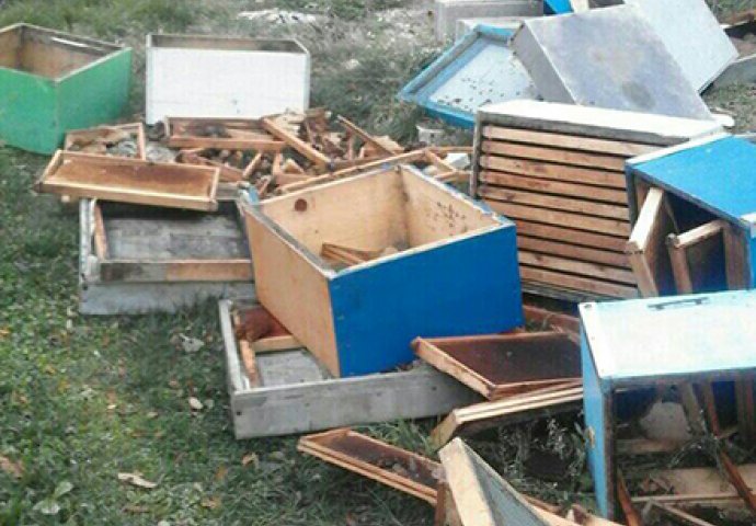 NEMAJU SE KOME OBRATITI: Selo u BiH “muku muči” s medvjedom koji im uništava pčelinjake i imovinu