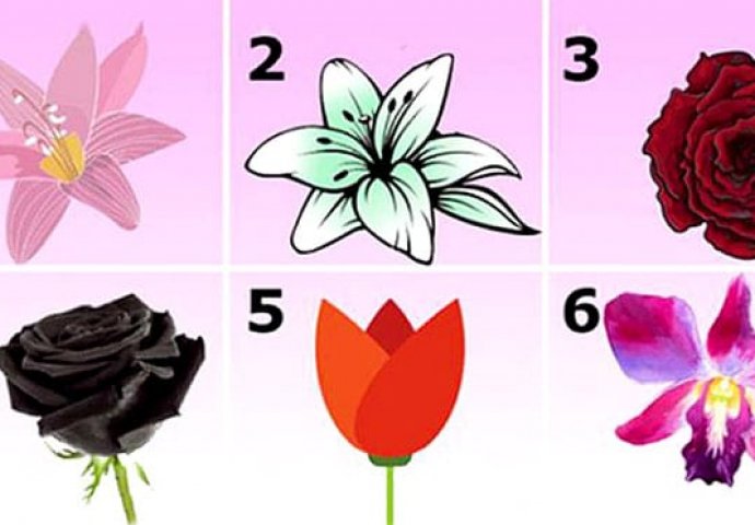 Koji cvijet vam je najprivlačniji, ODABERITE jedan i saznat ćete zapanjujuću tajnu svog karaktera!