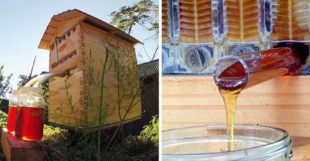 Genijalne košnice iz kojih se med izvlači „na česmu“ bez smetnje pčelama
