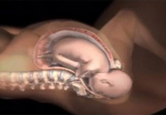 NEVJEROVATNO: Pogledajte na koji način se otvara tijelo žene za izlazak bebe! (VIDEO)