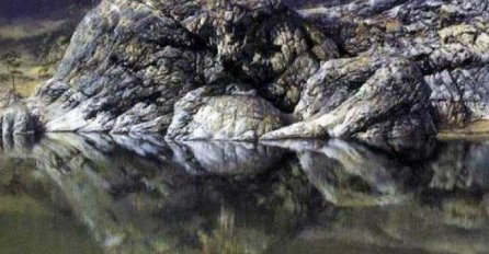 NIJE JEDNOSTAVNO: Dobro izoštrite vid i pronađite ženu i dijete na slici