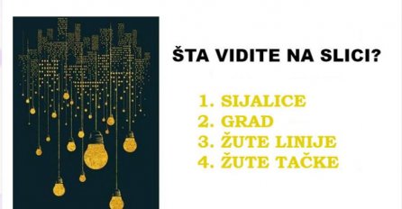 Pogledajte sliku i recite šta vidite