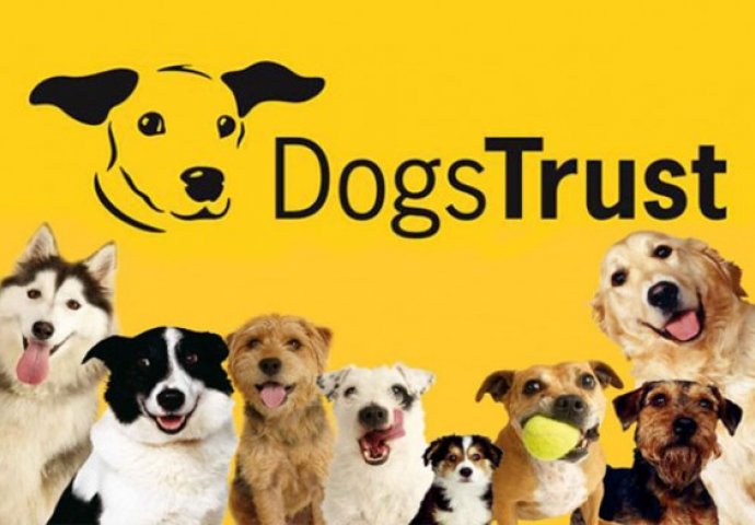 Dogs Trust gradi centar za udomljavanje pasa na Ilidži vrijedan 20 miliona KM