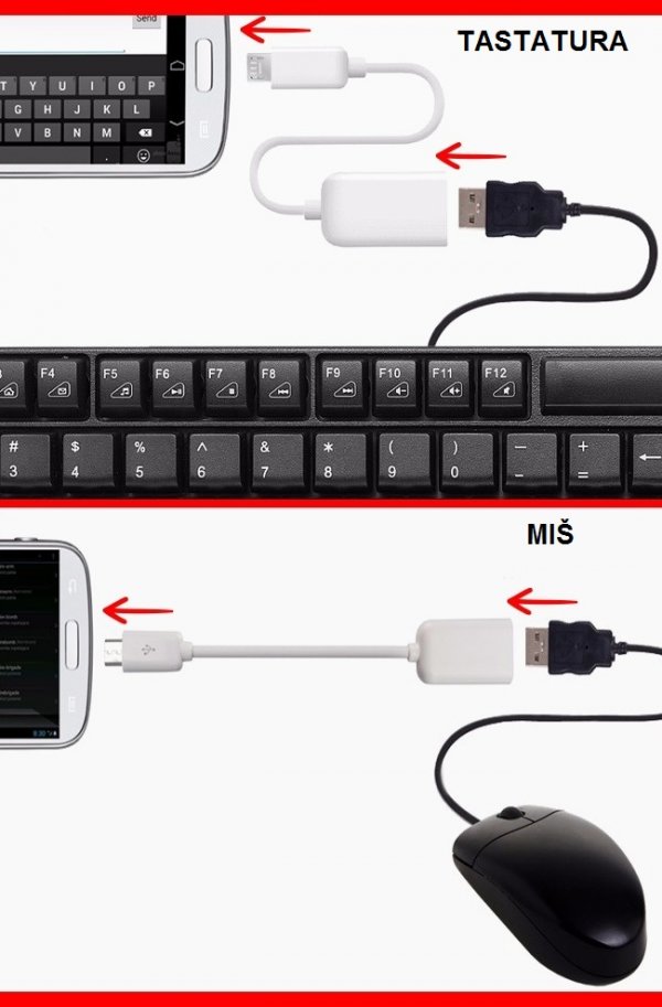 tastatura-i-mis-8