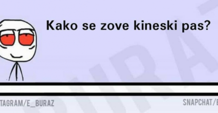 E buraz, znaš li kako se zove kineski pas ?