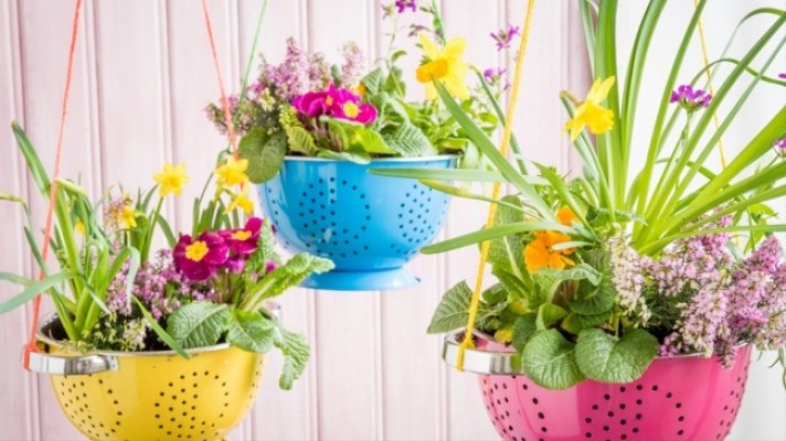 7804760-colanders-as-hanging-baskets-1479728917-650-5216f41754-1479995790