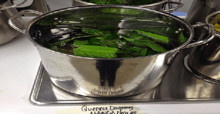 IMATE LI PROBLEMA SA DIJABETESOM: Samo skuhajte ovo lišće i izliječite se BEZ lijekova!