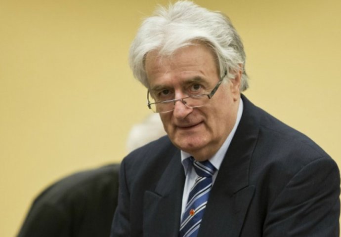 Međunarodno udruženje advokata želi da se uključi u Karadžićev proces
