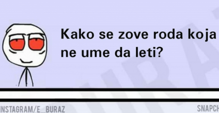 Kako se zove roda koja ne zna da leti?