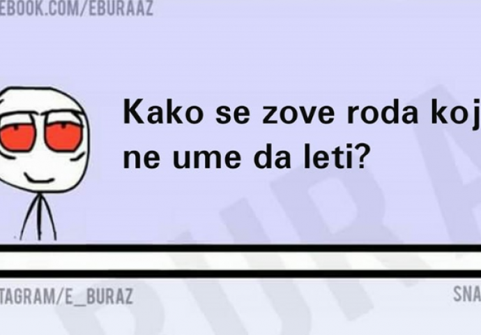 Kako se zove roda koja ne zna da leti?