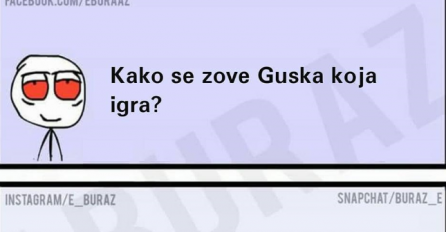 E buraz kako se zove guska koja igra ?