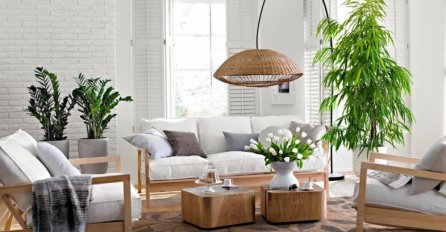 SPOJITE LIJEPO I KORISNO: Ovih 8 biljaka najbolje ČISTE zrak u vašem domu 