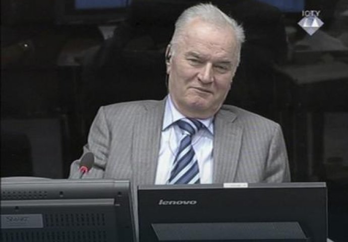 Duža pauza u Haagu, u toku pregled Ratka Mladića