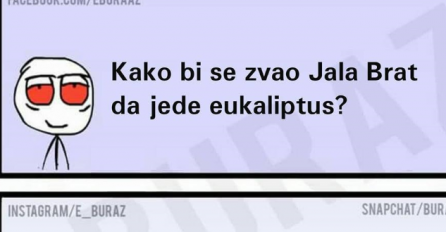 Kako bi se zvao Jala Brat da jede eukapiltus ?