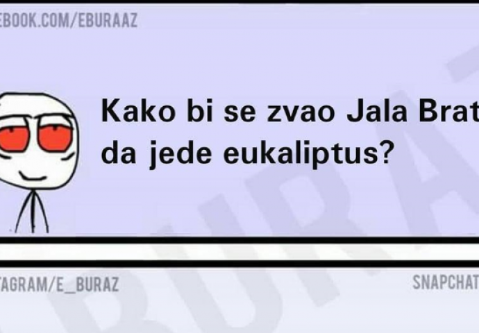 Kako bi se zvao Jala Brat da jede eukapiltus ?