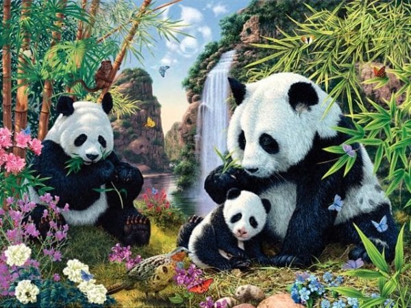 panda-test-1