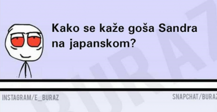 E buraz, kako se kaže  goša Sandra na japanskom ?