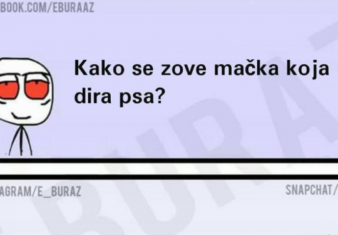 Kako se zove mačka koja dira psa?