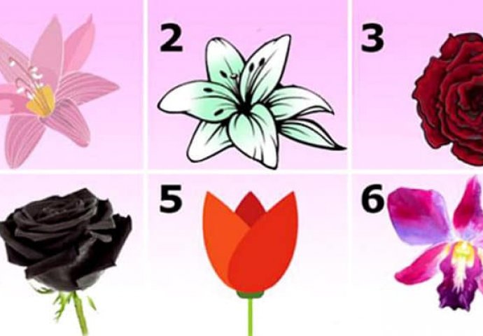 Koji vas cvijet najviše privlači: SAZNAJTE ŠTA TO OTKRIVA O VAMA!
