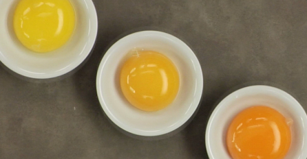 Boja žumanceta otkriva kakvo je jaje: ZNATE LI KOJE JE ZDRAVO?