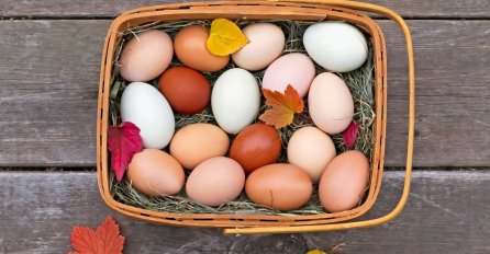 Evo kako da otkrijte koliko su stara jaja koja ste kupili trgovini - KOJA VI KUPUJETE?