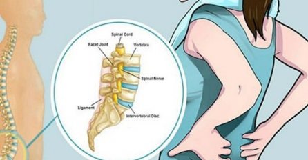 OBAVEZNO ZAPIŠITE RECEPT: Domaći lijek koji potpuno obnavlja kičmu, jača je i liječi!