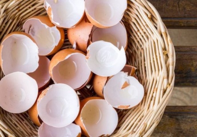 Mnogi ne znaju za ovu VEOMA KORISNU primjenu ljuske jajeta: A sve vrijeme ste je bacali!