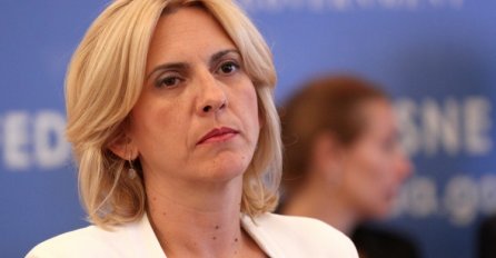 Cvijanović: Ne prikupljati jeftine političke poene na porodiljskim naknadama
