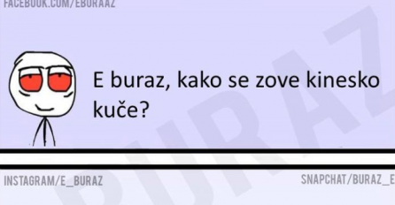 E buraz, kako se zove kinesko kuče?