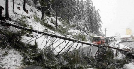 NEZAPAMĆENA SNJEŽNA OLUJA: Vjetar čupao stabla, letjeli krovovi, domaćinstva bez struje!