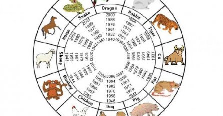 GODINA JE ŽUTOG ZEMLJANOG PSA: Pogledajte šta kaže kineski horoskop o svakome od nas za 2018. godinu!