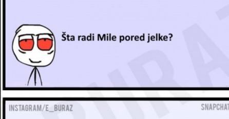 Šta radi Mile pored jelke?