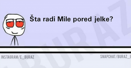 Šta radi Mile pored jelke?