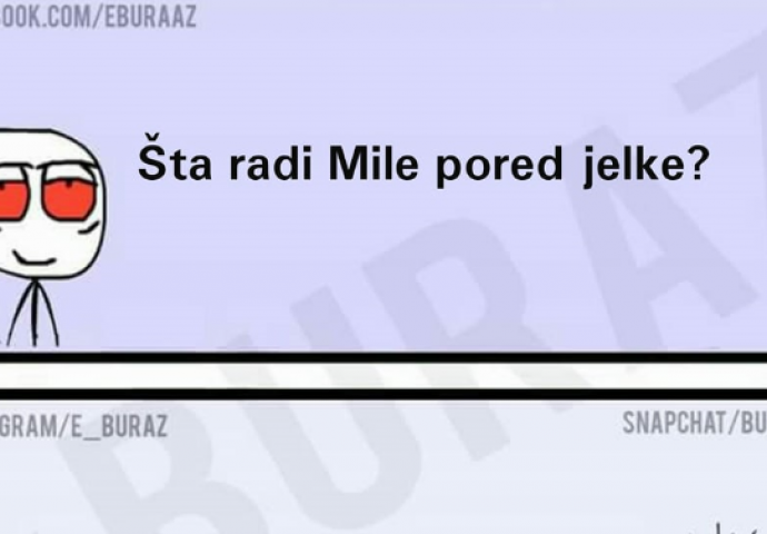 Šta radi Mile pored jelke?