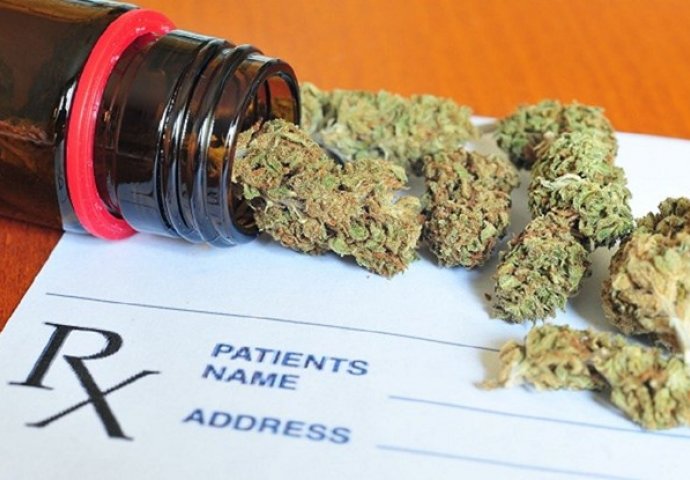 WHO potvrdio: Svjetska zdravstvena organizacija potvrdila da medicinska marihuana nije štetna