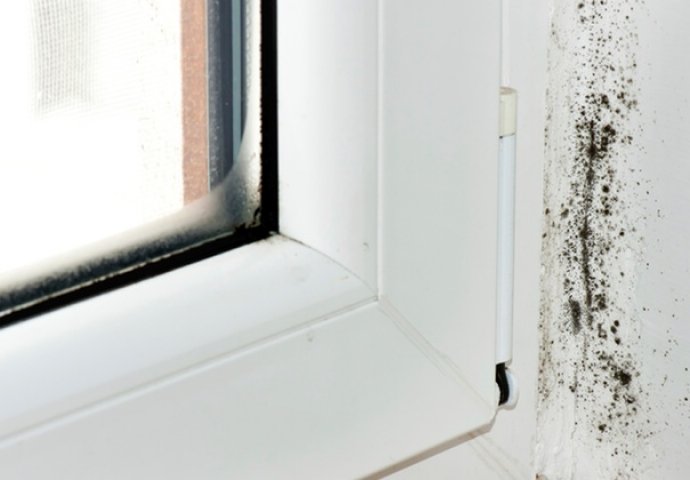 KORISNI SAVJETI: Znate li kako spriječiti pojavu vlage nakon ugradnje novih prozora?!