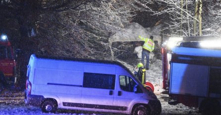 AVION SE SRUŠIO U ŠUMU: Tri osobe poginule