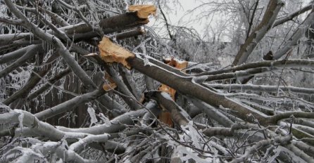 NEZAPAMĆENO NEVRIJEME NAPRAVILO VELIKU ŠTETU: Drveće padalo na sve strane (FOTO)