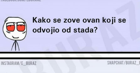 Kako se zove ovan koji se odvojio od stada?